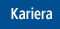 Kariera